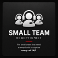 Small team plan